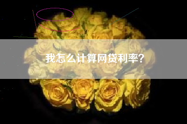我怎么计算网贷利率？