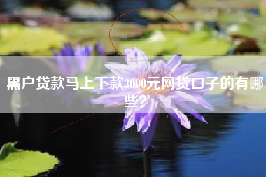 黑户贷款马上下款3000元网贷口子的有哪些？