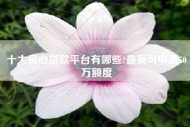 十大良心贷款平台有哪些?最高可申请50万额度