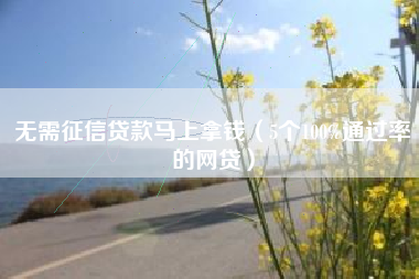 无需征信贷款马上拿钱（5个100%通过率的网贷）