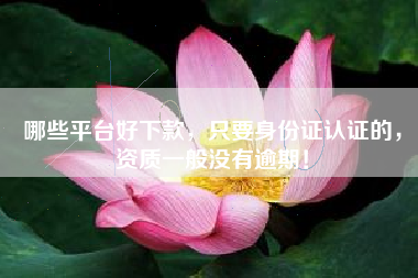 哪些平台好下款，只要身份证认证的，资质一般没有逾期！