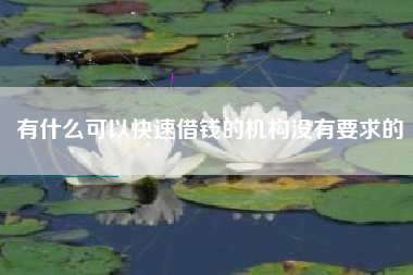 有什么可以快速借钱的机构没有要求的