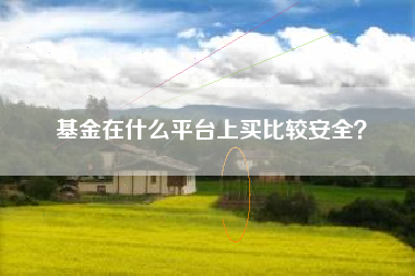 基金在什么平台上买比较安全？