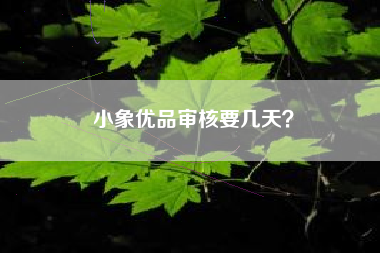 小象优品审核要几天？