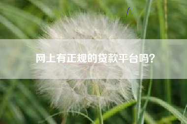 网上有正规的贷款平台吗？