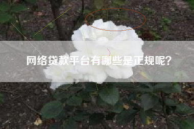 网络贷款平台有哪些是正规呢？