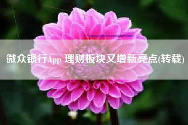 微众银行App 理财板块又增新亮点(转载)