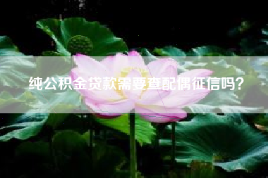 纯公积金贷款需要查配偶征信吗？