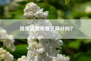 简单借款需要芝麻分吗？