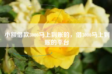 小额借款3000马上到账的，借3000马上到账的平台