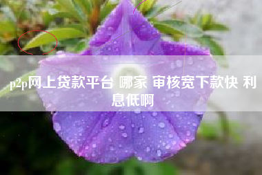 p2p网上贷款平台 哪家 审核宽下款快 利息低啊