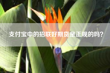支付宝中的招联好期贷是正规的吗？