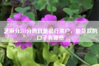 芝麻分551分而且是银行黑户，能贷款的口子有哪些