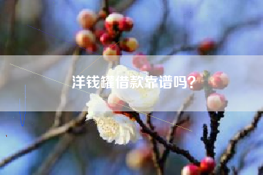 洋钱罐借款靠谱吗？