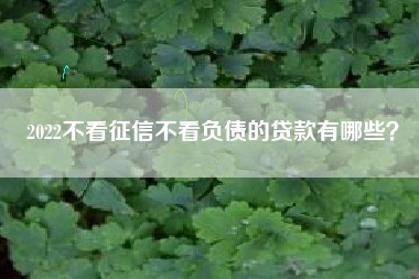 2022不看征信不看负债的贷款有哪些？