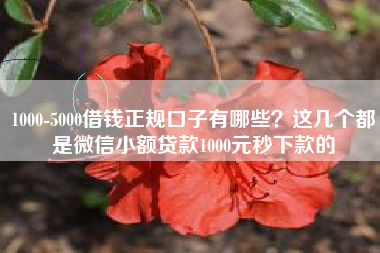 1000-5000借钱正规口子有哪些？这几个都是微信小额贷款1000元秒下款的