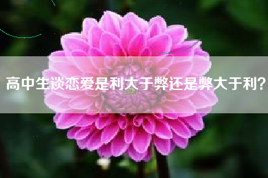 高中生谈恋爱是利大于弊还是弊大于利？
