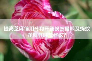 提高芝麻信用分和开通蚂蚁借呗及蚂蚁花呗有哪些建议？