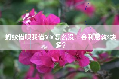 蚂蚁借呗我借5000怎么没一会利息就2块多？