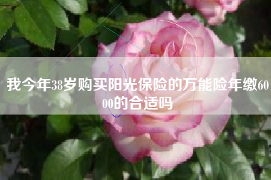 我今年38岁购买阳光保险的万能险年缴6000的合适吗