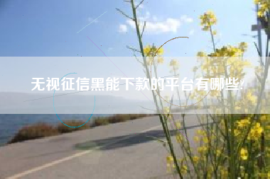 无视征信黑能下款的平台有哪些?