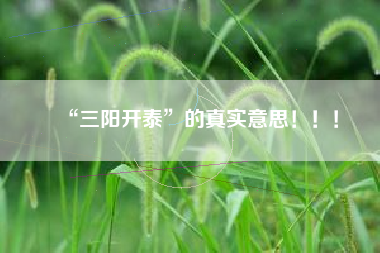 “三阳开泰”的真实意思！！！