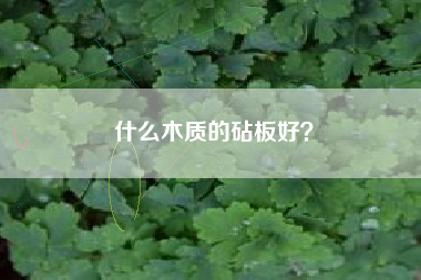什么木质的砧板好？
