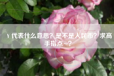 ￥代表什么意思？是不是人民币？求高手指点~？