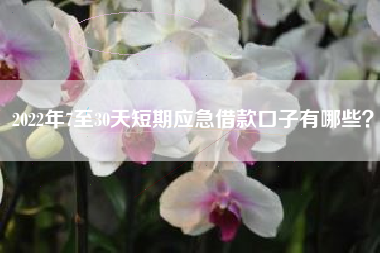 2022年7至30天短期应急借款口子有哪些？