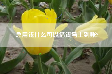 急用钱什么可以借钱马上到账?