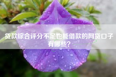 贷款综合评分不足也能借款的网贷口子有哪些？