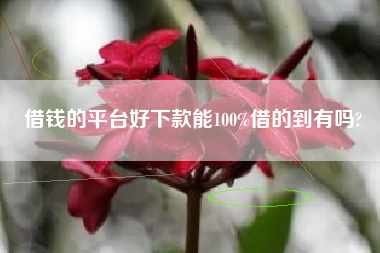 借钱的平台好下款能100%借的到有吗?