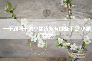 一千到两千的小额贷款有哪些平台 小额借钱2000