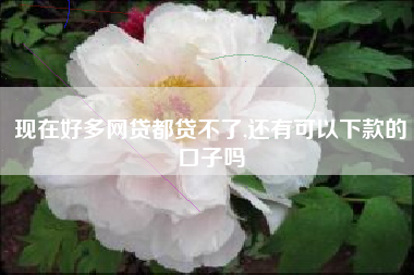 现在好多网贷都贷不了,还有可以下款的口子吗