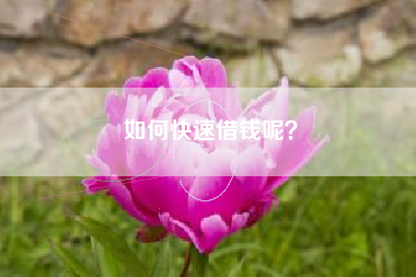 如何快速借钱呢？