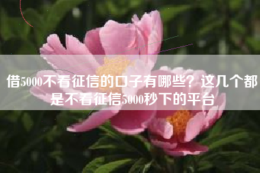 借5000不看征信的口子有哪些？这几个都是不看征信5000秒下的平台