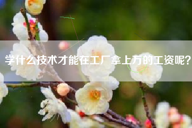 学什么技术才能在工厂拿上万的工资呢？