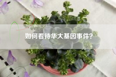 如何看待华大基因事件？