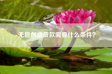 无息创业贷款需要什么条件？