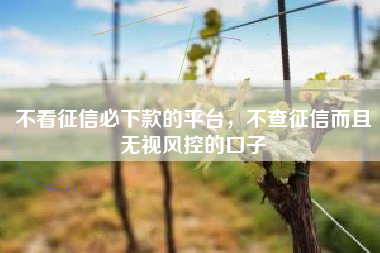 不看征信必下款的平台，不查征信而且无视风控的口子