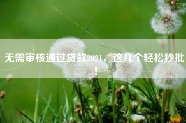 无需审核通过贷款2021，这几个轻松秒批！