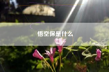 悟空保是什么