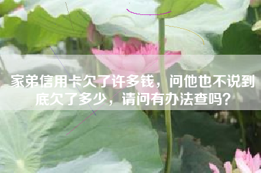 家弟信用卡欠了许多钱，问他也不说到底欠了多少，请问有办法查吗？