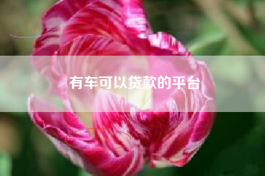 有车可以贷款的平台