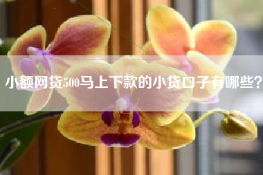 小额网贷500马上下款的小贷口子有哪些？