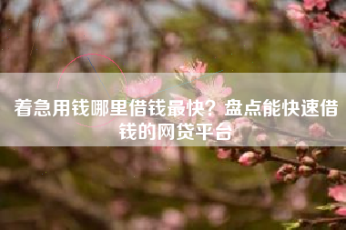 着急用钱哪里借钱最快？盘点能快速借钱的网贷平台