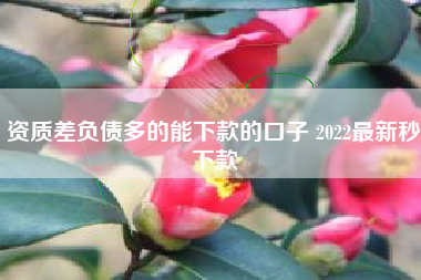 资质差负债多的能下款的口子 2022最新秒下款