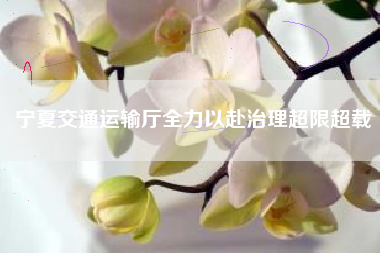 宁夏交通运输厅全力以赴治理超限超载