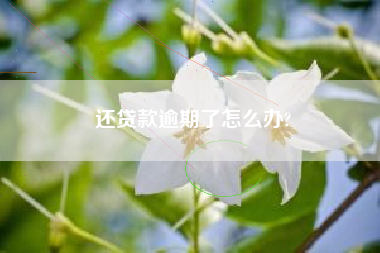 还贷款逾期了怎么办?