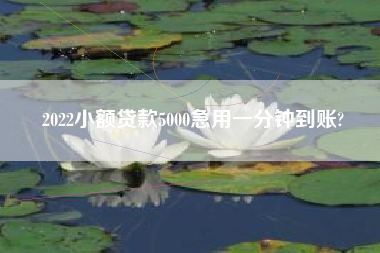 2022小额贷款5000急用一分钟到账?